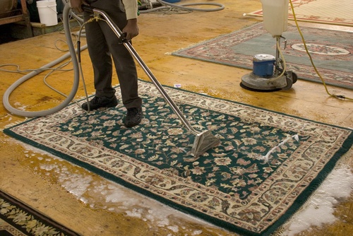 Revitalize Your Home with Professional Rug Cleaning Services
