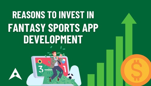 Reasons To Invest in Fantasy Sports App Development