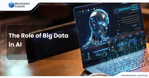 The Role of Big Data in AI