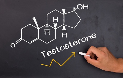 Buy Steroids Online and Increase Your Testosterone Levels