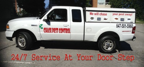 Pest Control Services in GTA