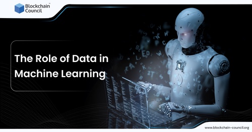 The Role of Data in Machine Learning