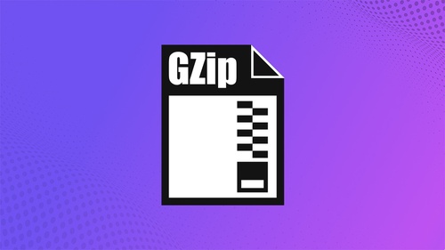 How to Use GZIP Compression to Improve Your WordPress Site’s Speed?