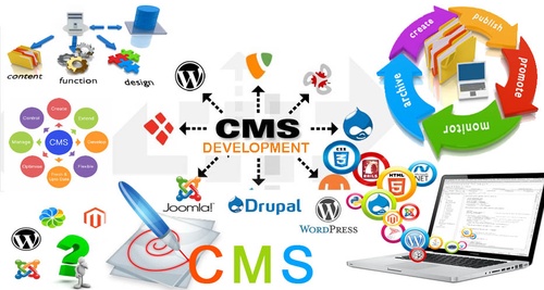 "Empowering Businesses with CMS Website Development"