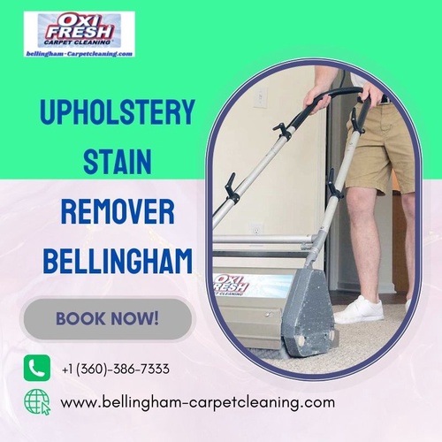 Revitalize Your Upholstery: The Essential Guide to Stain Removal in Bellingham