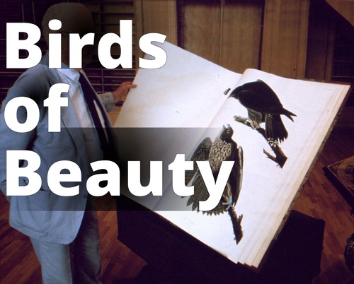 Unlocking the Mysteries of Audubon’s Birds of America