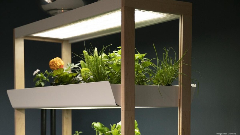 Best Indoor Smart Garden-Best Automatic Indoor Garden |Treesindoor