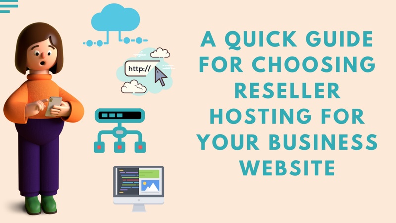 A Quick Guide For Choosing Reseller Hosting for your Business Website