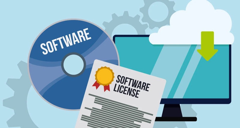 What are the different types of cheap software licenses