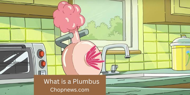 What is a Plumbus? The Story About Rick and Morty
