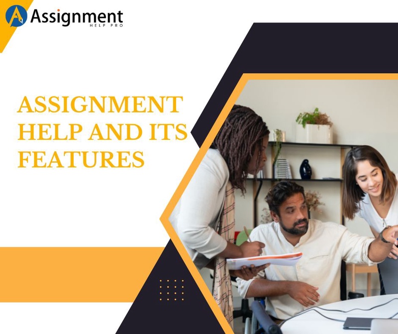 Assignment help and its features