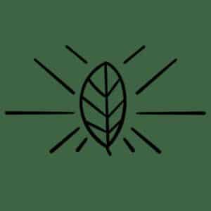 Best Digital Marketing Agency Portland