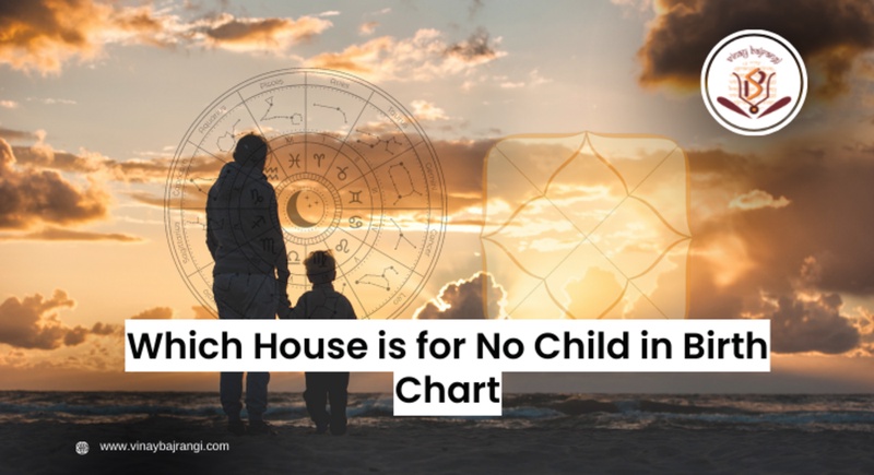 Which House is for no Child in Birth Chart