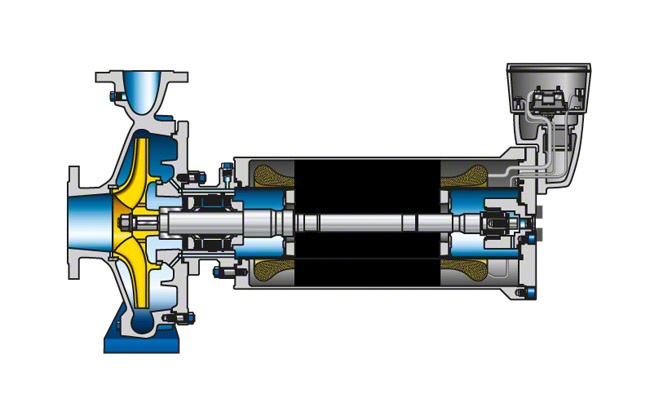 What Is the Best Type of Canned Motor Pump and Why? | TechPlanet