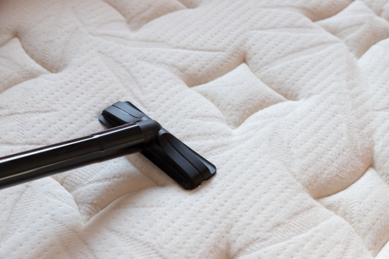 Effective Ways To Get Rid Of Mould From Upholstery