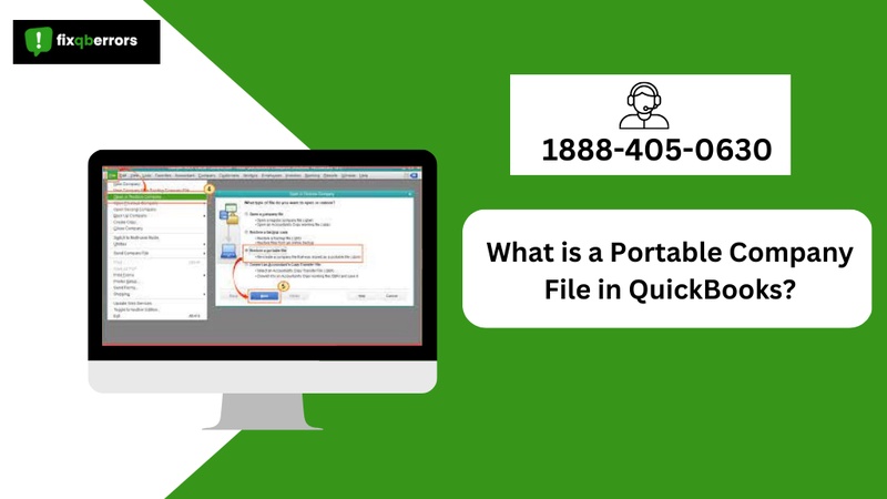 Portable Company Files Overview: Simplifying Data Management