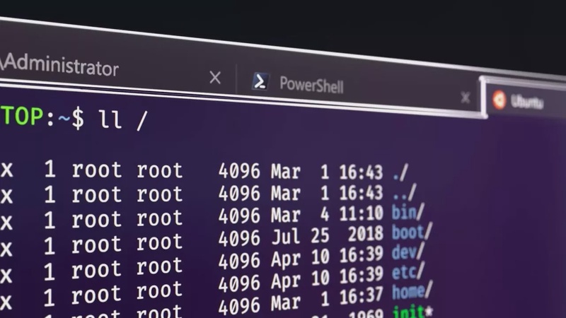 The New Windows Terminal: Command Line Just Got Better | TechPlanet